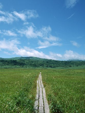 Onlineスクール言葉の森